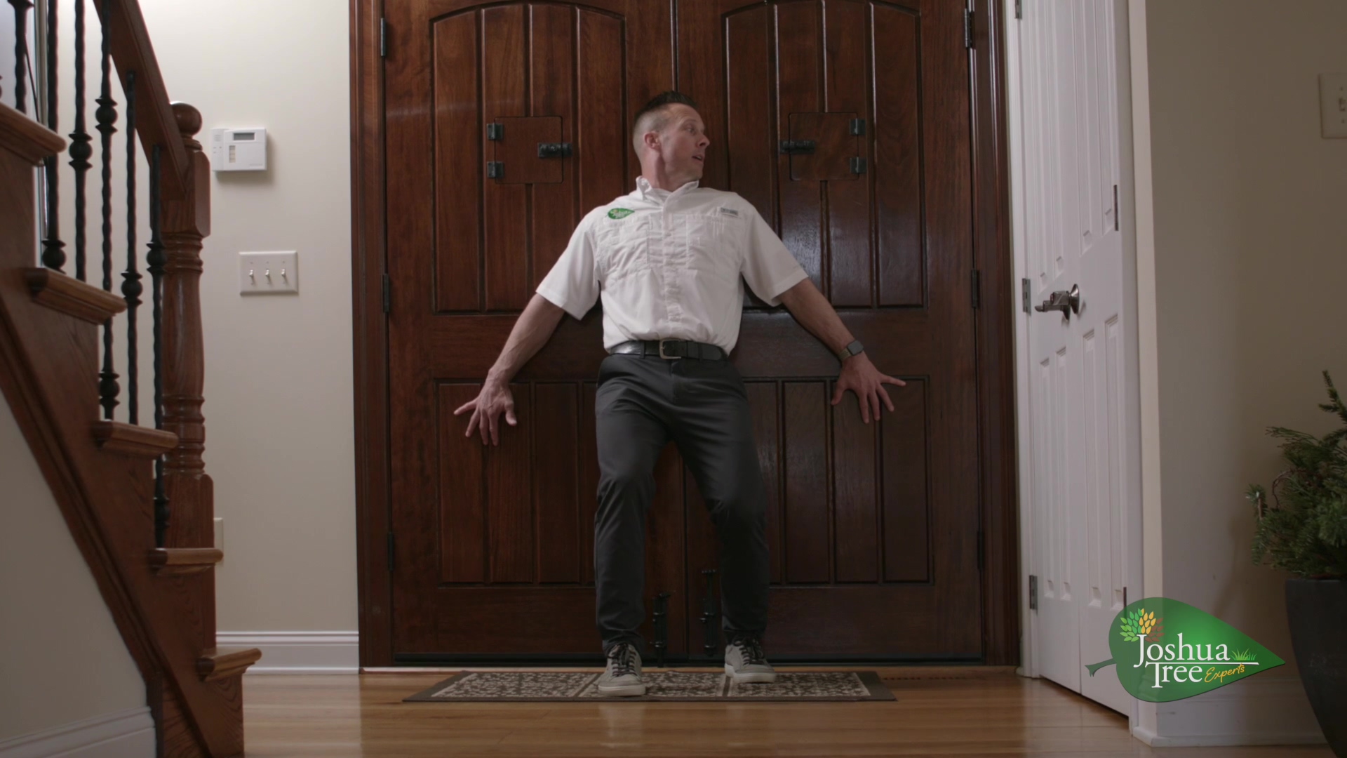 Lawn Care & Tree Care Videos Joshua Tree Experts